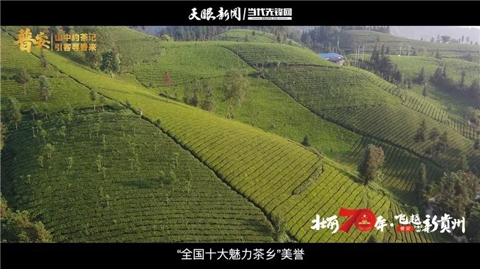 这片古老而文明的土地，物华天宝、人杰地灵，享有“中国古茶树之乡”“中国茶文化之乡”“全国十大魅力茶乡”美誉。