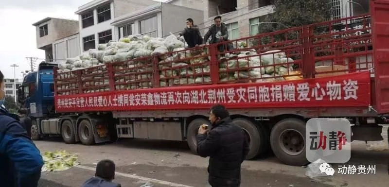 黔南州瓮安县各村村民连夜采摘的30吨新鲜白菜