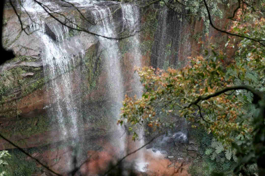 宋家住的山沟里，是赤水桫椤国家级自然保护区的一块“飞地”，有很多漂亮的瀑布，一道接着一道。