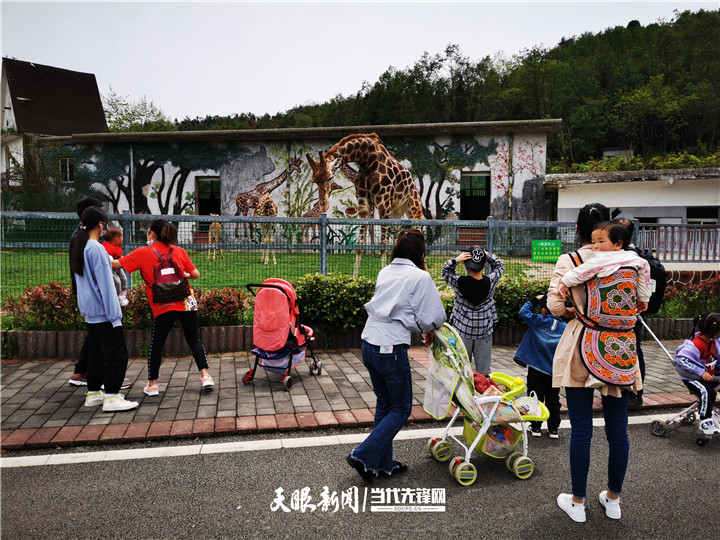 贵州森林野生动物园长颈鹿馆