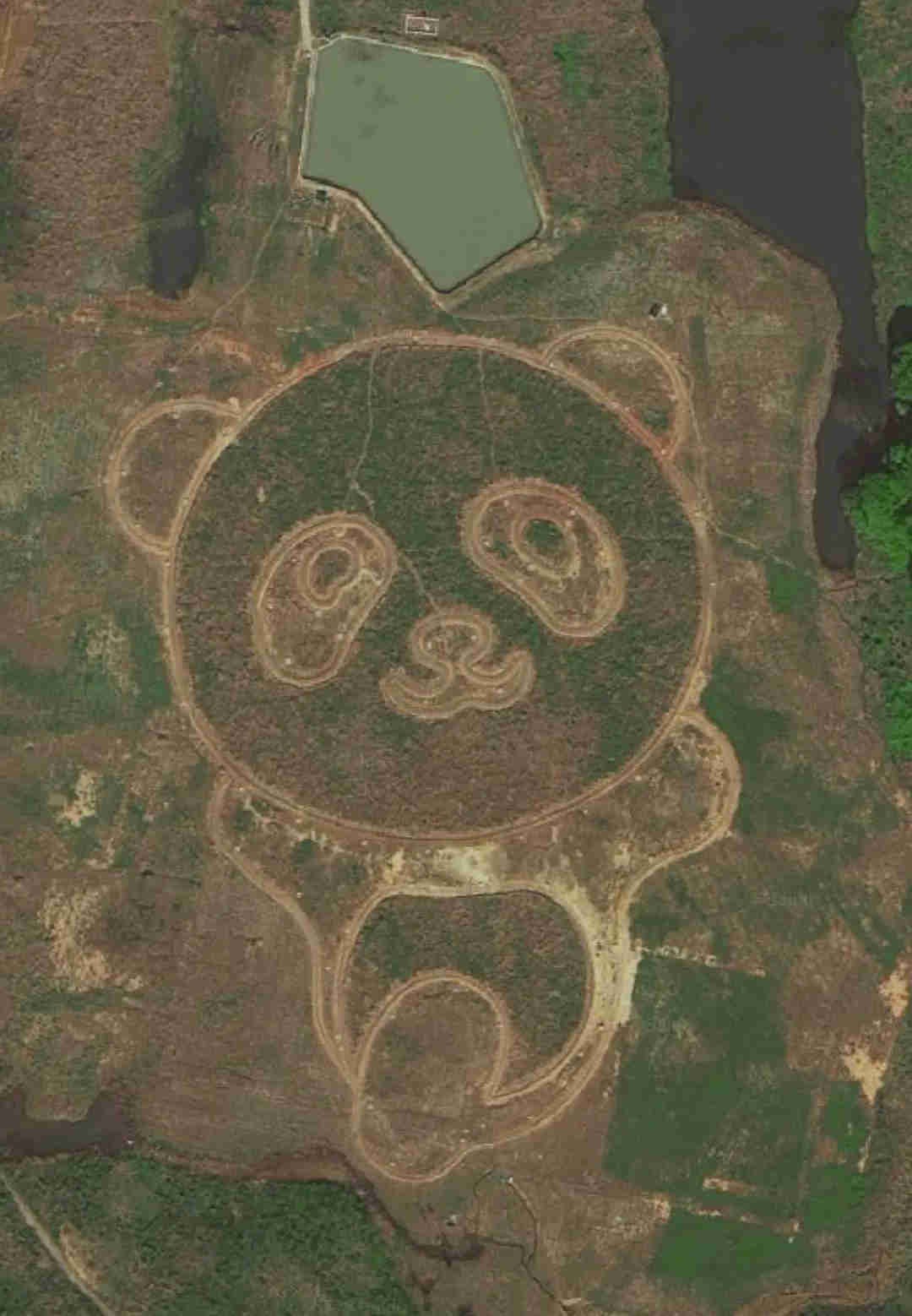 从高空上看成都双流机场，能看到四只神态各异的大熊猫