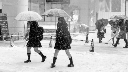 日本女生雪中穿短裙