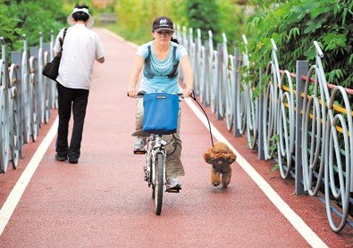 观山湖区绿轴带公共自行车慢行系统