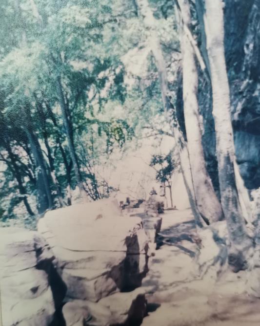 通往黄果树半山腰处水帘洞的小路，前方的白色就是瀑布