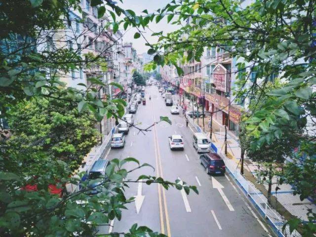 纳雍绿化街景
