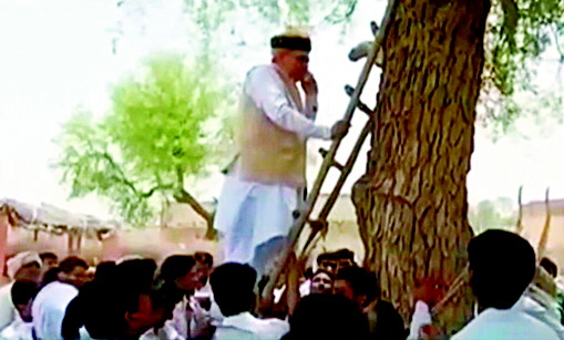 信号不好　 印度部长爬上树打电话 